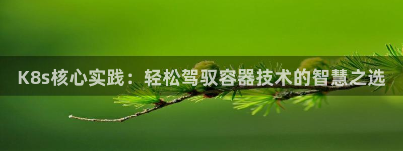 彩客网触屏版手机版旧版：K8s核心实践：轻松驾驭容器技术的智慧之选
