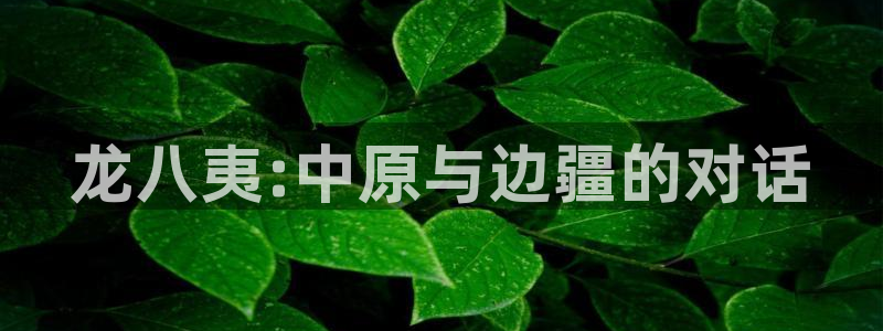 彩客网足球比分直播完整版：龙八夷:中原与边疆的对话