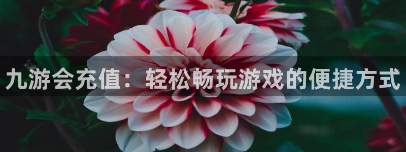 足球北单比分彩客网：九游会充值：轻松畅玩游戏的便捷方式