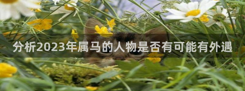 彩客网计算器：分析2023年属马的人物是否有可能有外遇