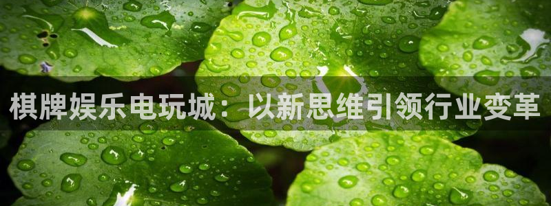彩客网最新客户端下载：棋牌娱乐电玩城：以新思维引领行业变革