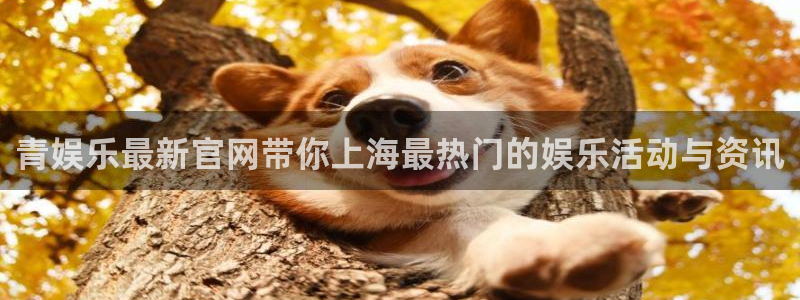 彩客网足球完整比分：青娱乐最新官网带你上海最热门的娱乐活动与资讯