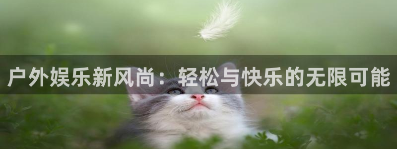 彩客网完整比分电脑版：户外娱乐新风尚：轻松与快乐的无限可能