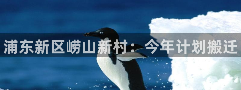彩客网电脑版完整版：浦东新区崂山新村：今年计划搬迁