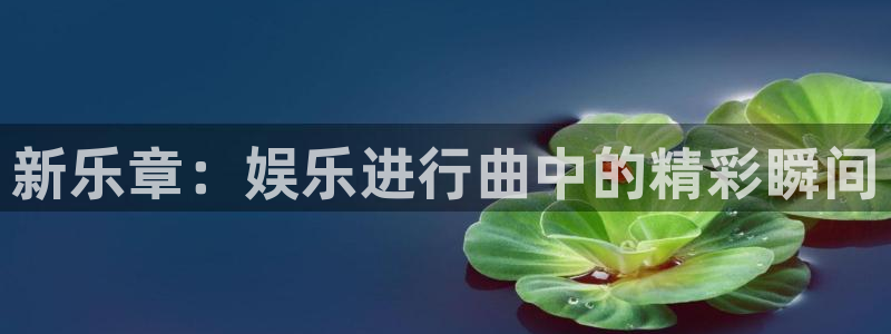 彩客网网页版：新乐章：娱乐进行曲中的精彩瞬间