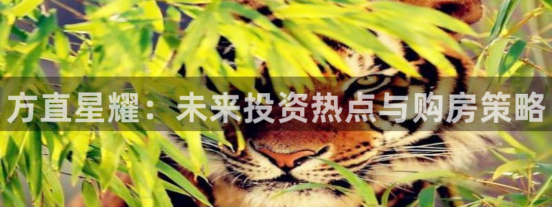 彩客网比分完整版：方直星耀：未来投资热点与购房策略