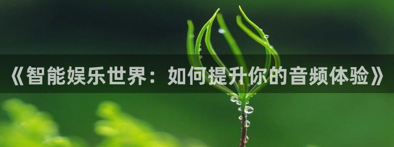 彩客网比赛结果查询：《智能娱乐世界：如何提升你的音频体验》