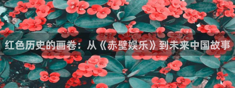 彩客网官：红色历史的画卷：从《赤壁娱乐》到未来中国故事