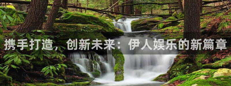 彩客网资讯：携手打造，创新未来：伊人娱乐的新篇章