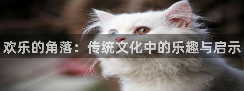 彩客网数据分析：欢乐的角落：传统文化中的乐趣与启示