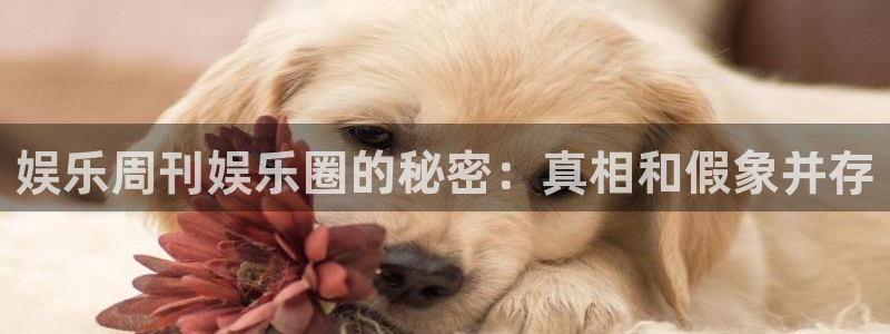 彩客网比电脑比：娱乐周刊娱乐圈的秘密：真相和假象并存