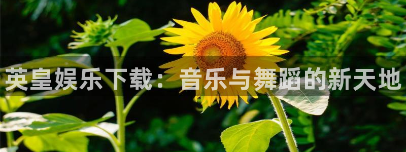 完场即时比分500完整版彩客网