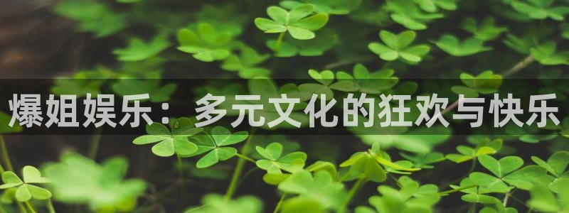 彩客网足球完整版即时比分